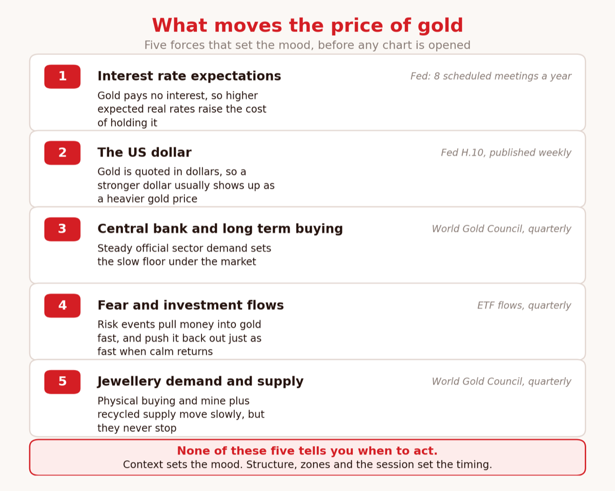 Diagram of what moves the price of gold: rates, the dollar, central bank buying, investment flows, and physical demand.